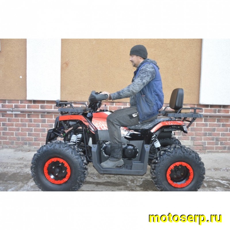 Купить  200cc Комплект запчастей для сборки TaoTao Warrior 200 LUX (MILLENNIUM)  200сс, утилит, 2х4, колеса 10", автомат, реверс, (шт) (ТехМаркет купить с доставкой по Москве и России, цена, технические характеристики, комплектация фото  - motoserp.ru