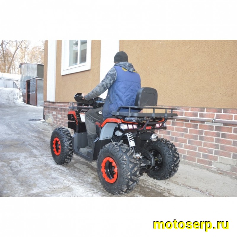 Купить  200cc Комплект запчастей для сборки TaoTao Warrior 200 LUX (MILLENNIUM)  200сс, утилит, 2х4, колеса 10", автомат, реверс, (шт) (ТехМаркет купить с доставкой по Москве и России, цена, технические характеристики, комплектация фото  - motoserp.ru