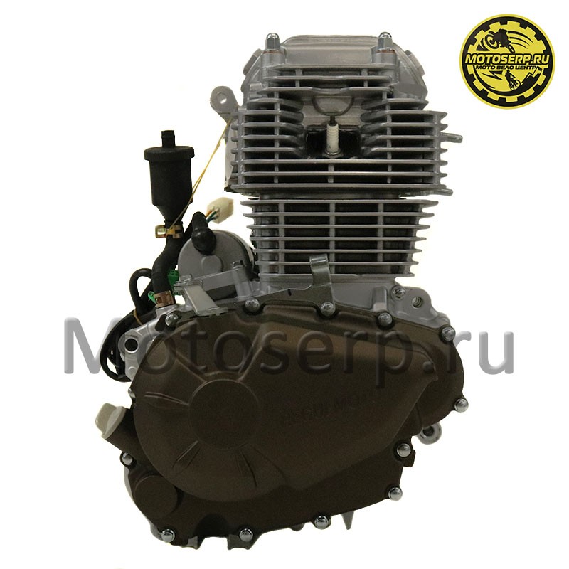 Купить  Двигатель  в сб. 300cc 172FMM-5 PR ZS (175FMN) 4Т, big bore 175мм, 6 передач, с баланс. валом (шт) (Regul 201464 купить с доставкой по Москве и России, цена, технические характеристики, комплектация фото  - motoserp.ru