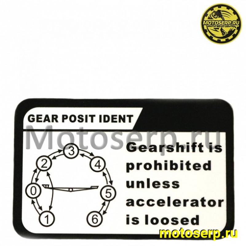 Купить  Двигатель  в сб. 300cc ZS172FMM-5 PR (175FMN) 4Т, big bore 175мм, 6 передач, с баланс. валом (шт) (Regul 201464 купить с доставкой по Москве и России, цена, технические характеристики, комплектация фото  - motoserp.ru