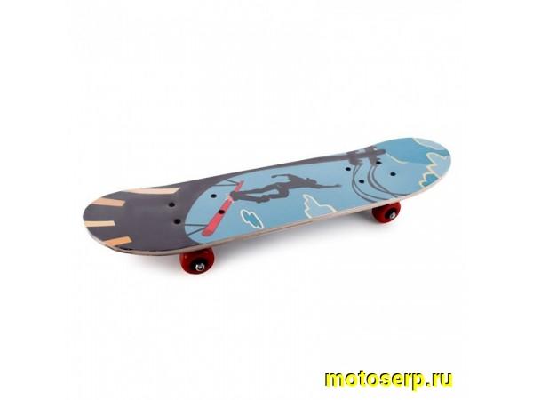 Купить  Скейтборд (NO NAME) колеса PVC, крепление аллюминий, 70*20см (шт) (Гусев купить с доставкой по Москве и России, цена, технические характеристики, комплектация фото  - motoserp.ru