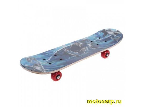 Купить  ====Скейтборд (NO NAME) колеса PVC принт акула, крепление пластик, 60*15см (шт) (Гусев купить с доставкой по Москве и России, цена, технические характеристики, комплектация фото  - motoserp.ru