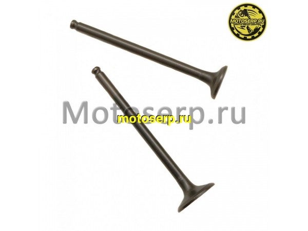 Купить  Клапан Honda AF56 4T (впуск/выпуск) (D-20mm, d-16mm, L-74mm. l-73mm T-5mm) Ч/Н (шт) (ANKON 021735  купить с доставкой по Москве и России, цена, технические характеристики, комплектация фото  - motoserp.ru