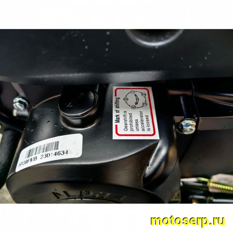 Купить  Мопед Millenium Alpha RS12 Champ  4Т; 50cc; колеса 17"литые; 4пер, эл. старт; бак 12л, легкая усиленная рама (шт) 01250 (ТехМаркет купить с доставкой по Москве и России, цена, технические характеристики, комплектация фото  - motoserp.ru