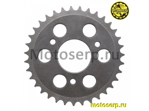 Купить  Звезда задняя (венец) Карпаты D=146, d=48 (6 отв) 35зуб  (шт) (R8 купить с доставкой по Москве и России, цена, технические характеристики, комплектация фото  - motoserp.ru