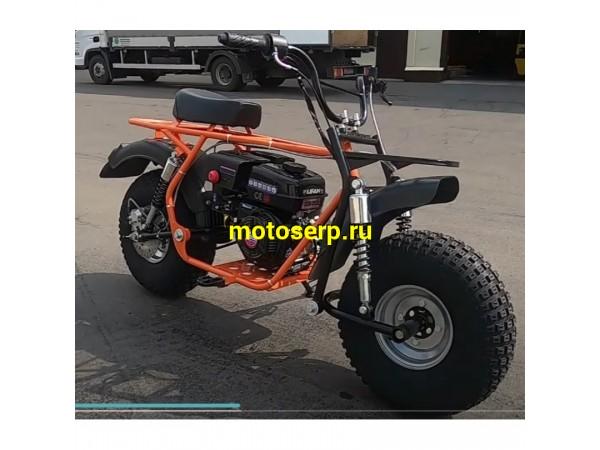 Купить  Мопед MM СКАУТ САФАРИ 3-8 BIGFOOT (спортинв) 8,0л.с  (шт) (MM 77648 купить с доставкой по Москве и России, цена, технические характеристики, комплектация фото  - motoserp.ru