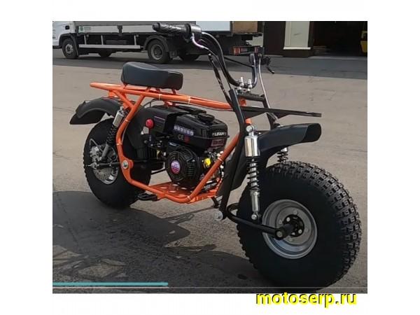 Купить  ====Мопед MM СКАУТ САФАРИ 3-8 BIGFOOT (спортинв) 8,0л.с  (шт) (MM 77648 купить с доставкой по Москве и России, цена, технические характеристики, комплектация фото  - motoserp.ru