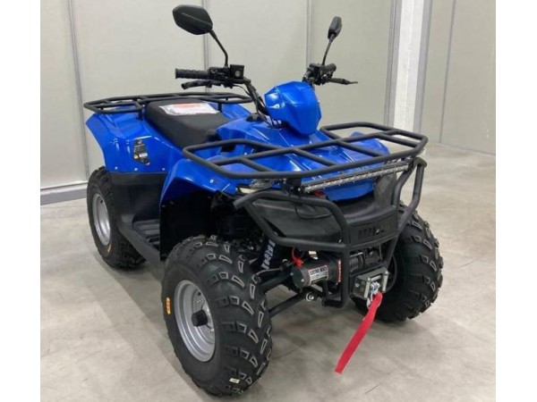 Купить  200cc Квадроцикл IRBIS ATV 200 LUX (ПСМ) С ЛЕБЕДКОЙ, 2026г. 180сс, утилит., возд.масл. охл., автомат + реверс, диск/диск, 10"/10" (шт) (ФОТО купить с доставкой по Москве и России, цена, технические характеристики, комплектация фото  - motoserp.ru