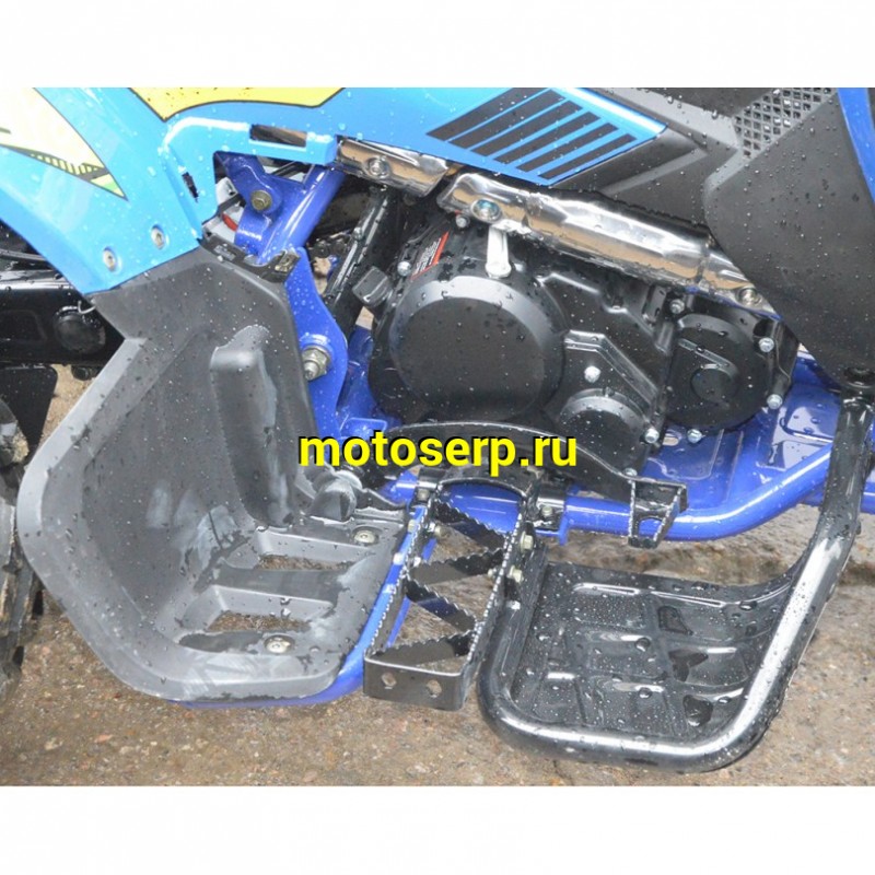 Купить  250cc Квадроцикл RC250 Racer Typhoon / YACOTA TYPHOON 250 спортинв, КПП 4+R, кол. 10", балансир, электростарт, (шт)  купить с доставкой по Москве и России, цена, технические характеристики, комплектация фото  - motoserp.ru