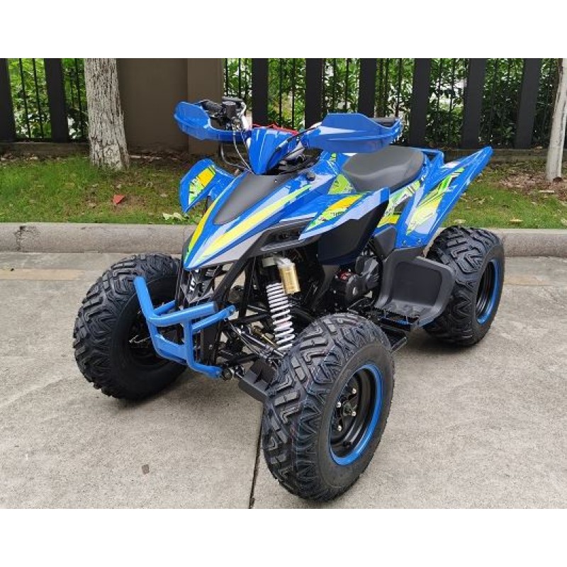 Купить  250cc Комплект запчастей для сборки RC250 Racer Typhoon / YACOTA TYPHOON 250 КПП 4+R, кол. 10", балансир, электрост, (спорт) (шт)  купить с доставкой по Москве и России, цена, технические характеристики, комплектация фото  - motoserp.ru