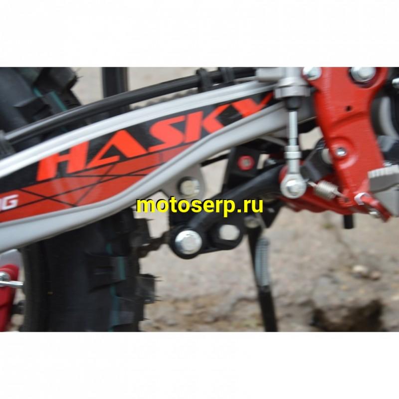 Купить  Мотоцикл Кросс/Эндуро Hasky F5 Racing 169FMM 250cc 2023 (спортинв.)  (шт) (Hasky купить с доставкой по Москве и России, цена, технические характеристики, комплектация фото  - motoserp.ru