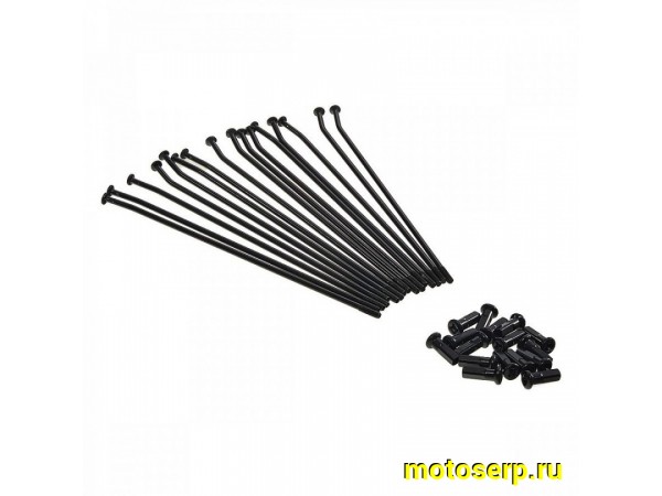 Купить  Спицы заднего колеса 14" TTR125 (3.1x173мм) (ступица CNC) (16 шт) (комп) (SM 196-8868 купить с доставкой по Москве и России, цена, технические характеристики, комплектация фото  - motoserp.ru