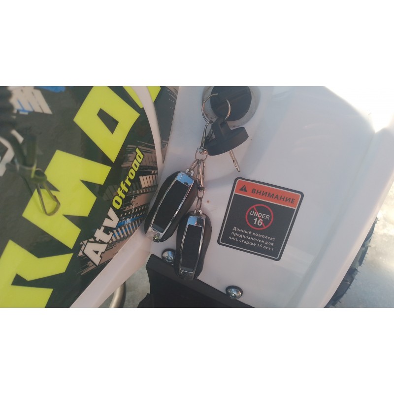 Купить  125cc Комплект запчастей для сборки Armour 125сс;  кол.8"; диск/диск; литые колеса; спинка, зеркала, блок-фара; линзы (шт) (Li-Ya купить с доставкой по Москве и России, цена, технические характеристики, комплектация фото  - motoserp.ru