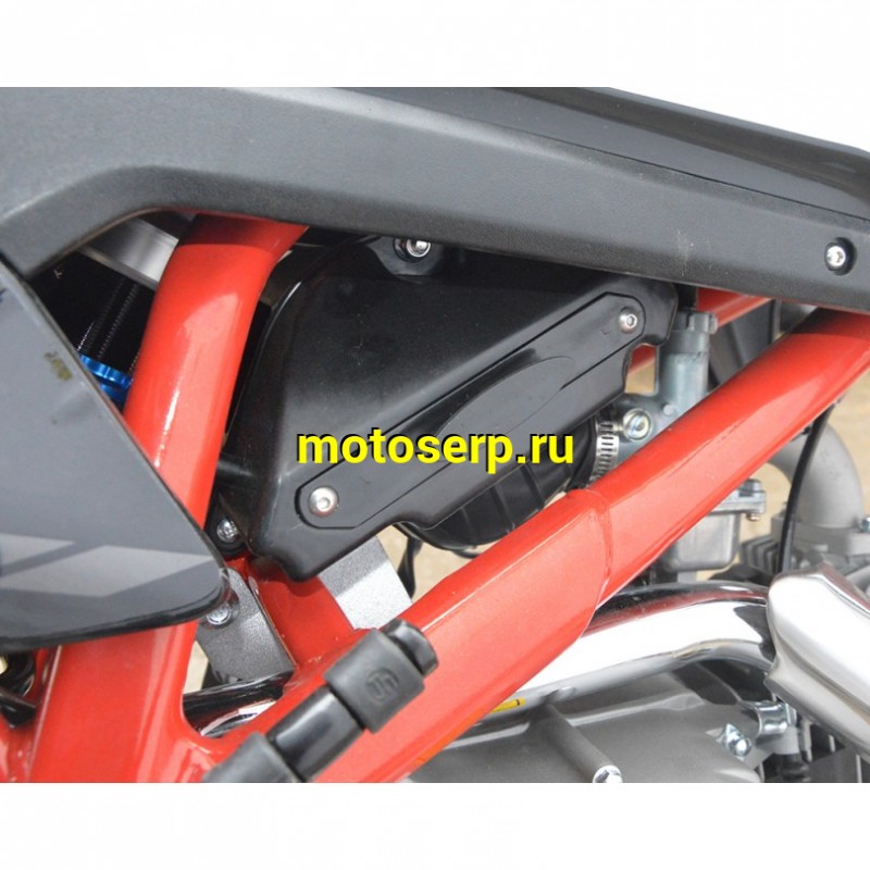 Купить  Питбайк Apollo Thunder 125cc 19/16" (спортинв) (шт) (Li-Ya  купить с доставкой по Москве и России, цена, технические характеристики, комплектация фото  - motoserp.ru