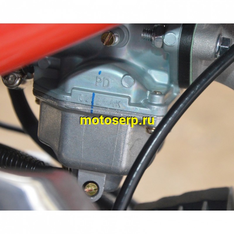 Купить  Питбайк Apollo Thunder 125cc 19/16" (спортинв) (шт) (Li-Ya  купить с доставкой по Москве и России, цена, технические характеристики, комплектация фото  - motoserp.ru