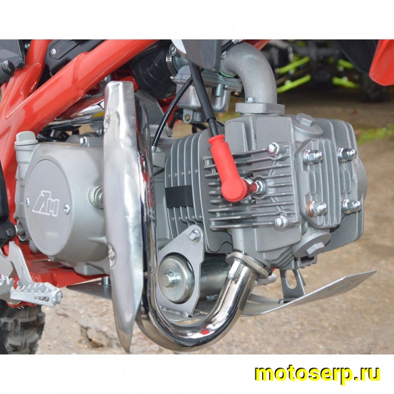 Купить  ====Питбайк Apollo Thunder 125cc 19/16" (спортинв) (шт) (Li-Ya  купить с доставкой по Москве и России, цена, технические характеристики, комплектация фото  - motoserp.ru