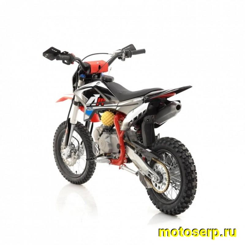 Купить  Питбайк Apollo Thunder 110 эл/кикстарт, 14/12" (спортинв) (шт) (Li-Ya  купить с доставкой по Москве и России, цена, технические характеристики, комплектация фото  - motoserp.ru
