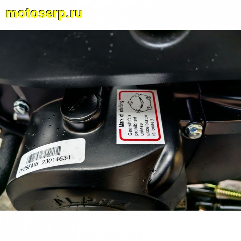 Купить  Мопед Millenium Alpha RS12M Champ  4Т; 50cc; колеса 17"литые; 4пер, эл. старт; бак 12л, легкая усиленная рама (шт) 01250 (ТехМаркет (ФОТО купить с доставкой по Москве и России, цена, технические характеристики, комплектация фото  - motoserp.ru