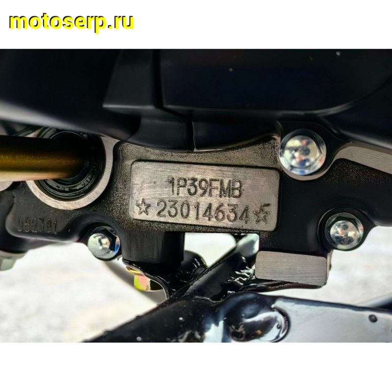 Купить  Мопед Millenium Alpha RS12M Champ  4Т; 50cc; колеса 17"литые; 4пер, эл. старт; бак 12л, легкая усиленная рама (шт) 01250 (ТехМаркет (ФОТО купить с доставкой по Москве и России, цена, технические характеристики, комплектация фото  - motoserp.ru