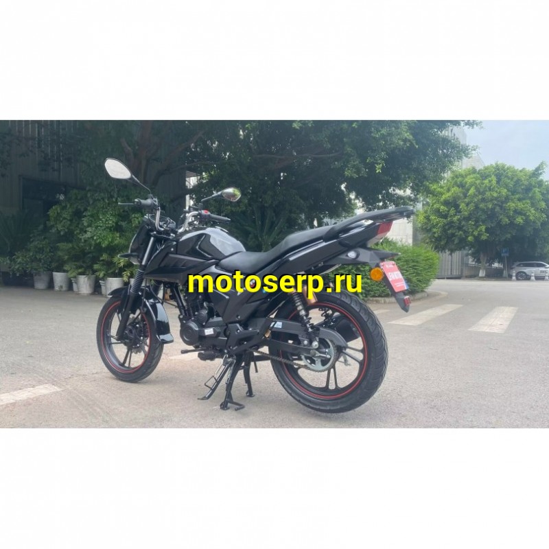 Купить  Мотоцикл LIFAN LF175-2E черный 175сс, 17,17", диск/бараб (шт) (UM купить с доставкой по Москве и России, цена, технические характеристики, комплектация фото  - motoserp.ru