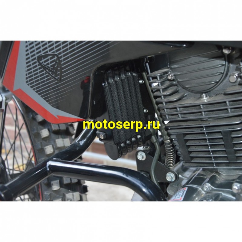 Купить  Мотоцикл внедорожный RACER RC300-GY8V XSR (ЭПТС) (шт) купить с доставкой по Москве и России, цена, технические характеристики, комплектация фото  - motoserp.ru