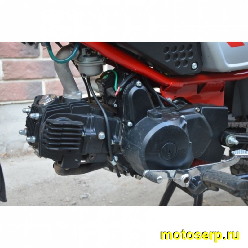 Купить  ====Мопед MM COLT2 50/110 BLACK Б/У, состояние нового, пробег 2233 км (шт) 01100  купить с доставкой по Москве и России, цена, технические характеристики, комплектация фото  - motoserp.ru