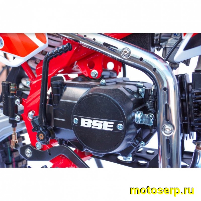 Купить  ====Питбайк BSE MX125 Racing Red (шт) купить с доставкой по Москве и России, цена, технические характеристики, комплектация фото  - motoserp.ru