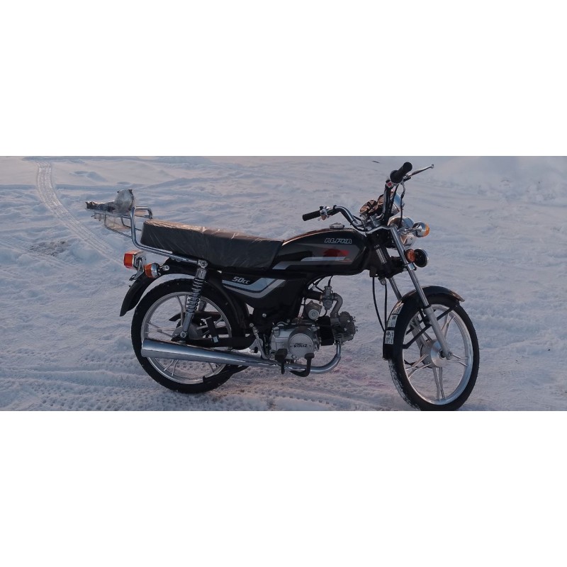 Купить  Мопед Roliz Alpha C Эконом 17/17" бар/бар. (шт) 01100 купить с доставкой по Москве и России, цена, технические характеристики, комплектация фото  - motoserp.ru