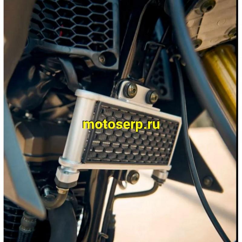 Купить  Мотоцикл внедорожный FUEGO LUX TEKKEN 3.0 (ЭПТС),17"/17", 4Т, 250сс,двиг.171MM , диск/диск  (шт) купить с доставкой по Москве и России, цена, технические характеристики, комплектация фото  - motoserp.ru
