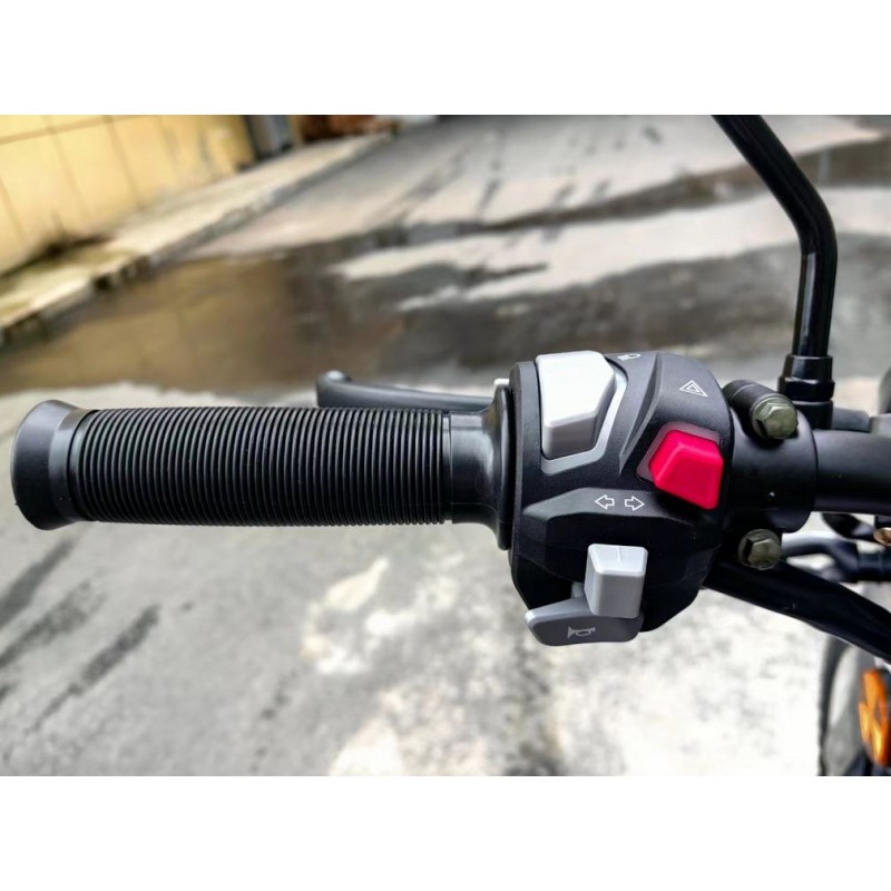 Купить  Мопед Regulmoto Alpha (RM-5) Черный глянец 4Т; 50cc;  колеса 17/17"литые; 4пер, диск/диск, LED фара, USB-порт (шт) 01250 (ФОТО купить с доставкой по Москве и России, цена, технические характеристики, комплектация фото  - motoserp.ru
