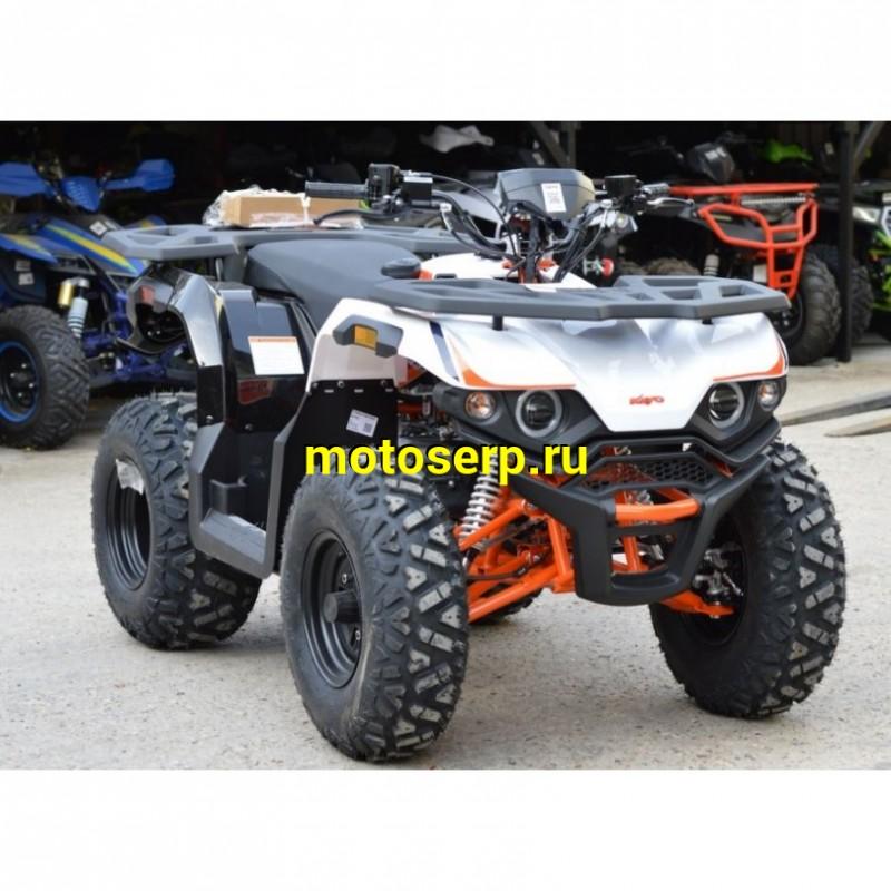 Купить  180cc Квадроцикл KAYO AU180 (белый пластик 2024 г.) ПТС  поворот, стоп, приборка, зеркала (шт) (SM  купить с доставкой по Москве и России, цена, технические характеристики, комплектация фото  - motoserp.ru