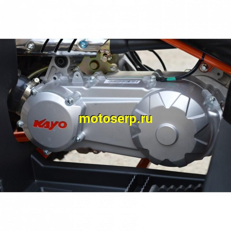 Купить  180cc Квадроцикл KAYO AU180 (белый пластик 2024 г.) ПТС  поворот, стоп, приборка, зеркала (шт) (SM  купить с доставкой по Москве и России, цена, технические характеристики, комплектация фото  - motoserp.ru