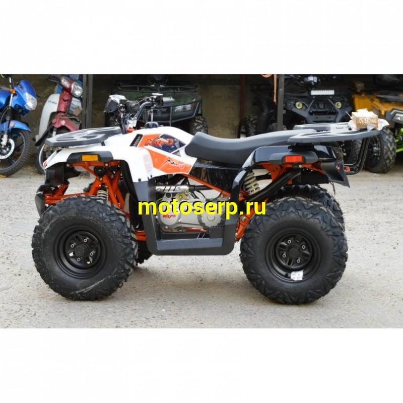 Купить  180cc Квадроцикл KAYO AU180 (белый пластик 2024 г.) ПТС  поворот, стоп, приборка, зеркала (шт) (SM  купить с доставкой по Москве и России, цена, технические характеристики, комплектация фото  - motoserp.ru