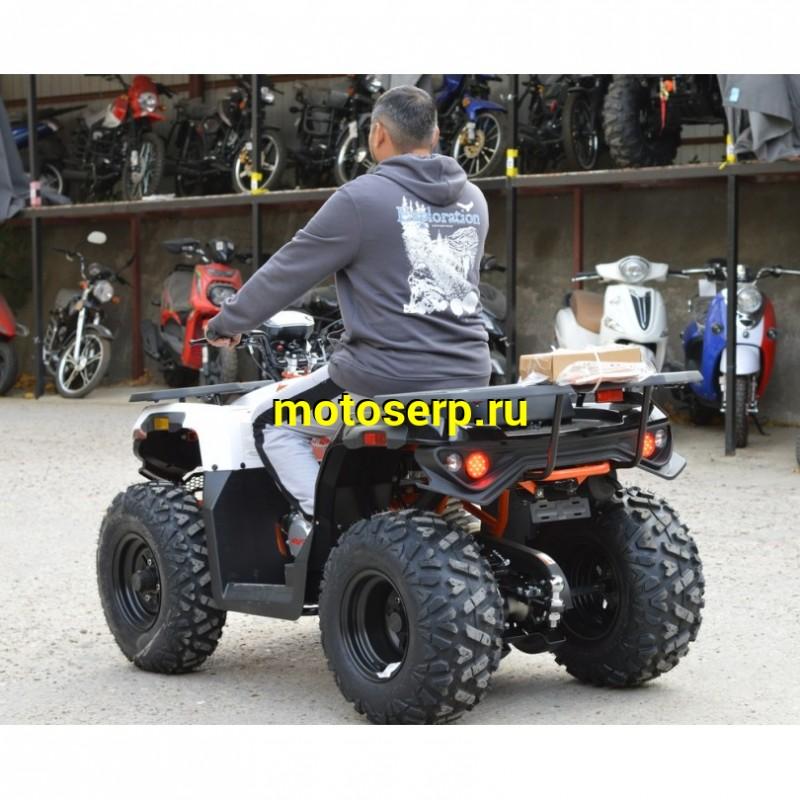 Купить  180cc Квадроцикл KAYO AU180 (белый пластик 2024 г.) ПТС  поворот, стоп, приборка, зеркала (шт) (SM  купить с доставкой по Москве и России, цена, технические характеристики, комплектация фото  - motoserp.ru