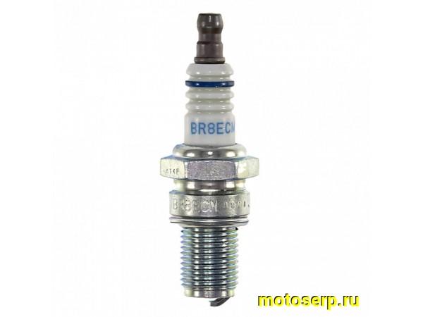 Купить  Свеча зажигания ( 8) NGK BR8ECM (шт) (SM 323-6105  купить с доставкой по Москве и России, цена, технические характеристики, комплектация фото  - motoserp.ru