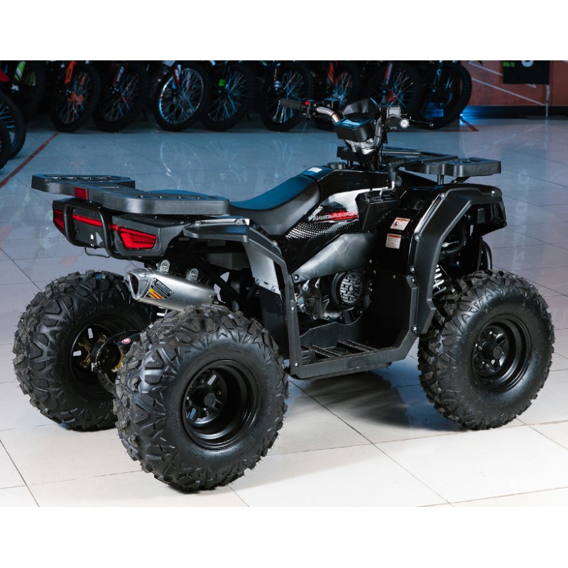 Купить  200cc Комплект запчастей для сборки Progasi RaceJumper 200SE, 161QMK-A с балансирным валом (шт)  купить с доставкой по Москве и России, цена, технические характеристики, комплектация фото  - motoserp.ru