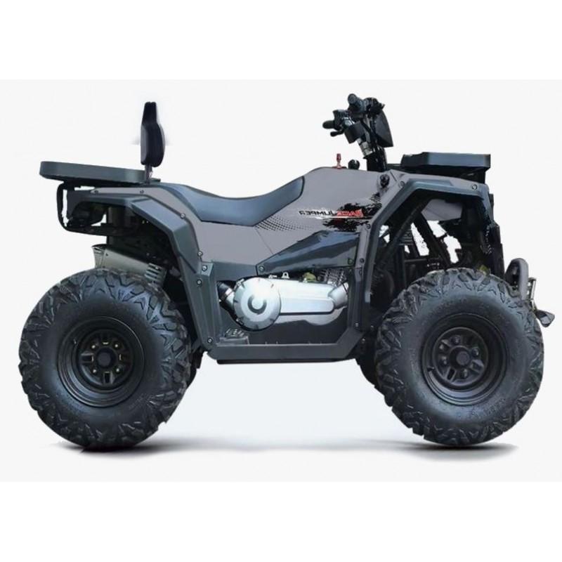 Купить  200cc Комплект запчастей для сборки Progasi RaceJumper 200SE, 161QMK-A с балансирным валом (шт)  купить с доставкой по Москве и России, цена, технические характеристики, комплектация фото  - motoserp.ru