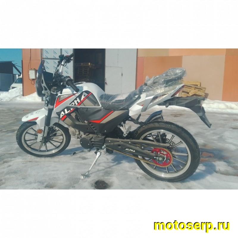 Купить  Мопед Millenium Alpha Champ  4Т; 50cc; колеса 17"литые; 4пер, эл. старт; БЕЗ КИКА!  (шт) 01500 (ТехМаркет купить с доставкой по Москве и России, цена, технические характеристики, комплектация фото  - motoserp.ru