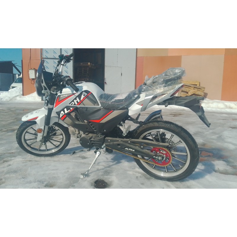 Купить  Мопед Millenium Alpha Champ  4Т; 50cc; колеса 17"литые; 4пер, эл. старт; БЕЗ КИКА!  (шт) 01500 (ТехМаркет купить с доставкой по Москве и России, цена, технические характеристики, комплектация фото  - motoserp.ru