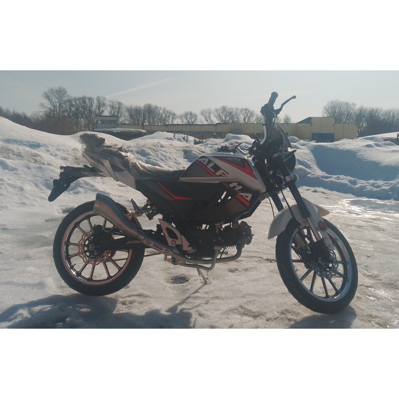 Купить  Мопед Millenium Alpha Champ  4Т; 50cc; колеса 17"литые; 4пер, эл. старт; БЕЗ КИКА!  (шт) 01500 (ТехМаркет купить с доставкой по Москве и России, цена, технические характеристики, комплектация фото  - motoserp.ru