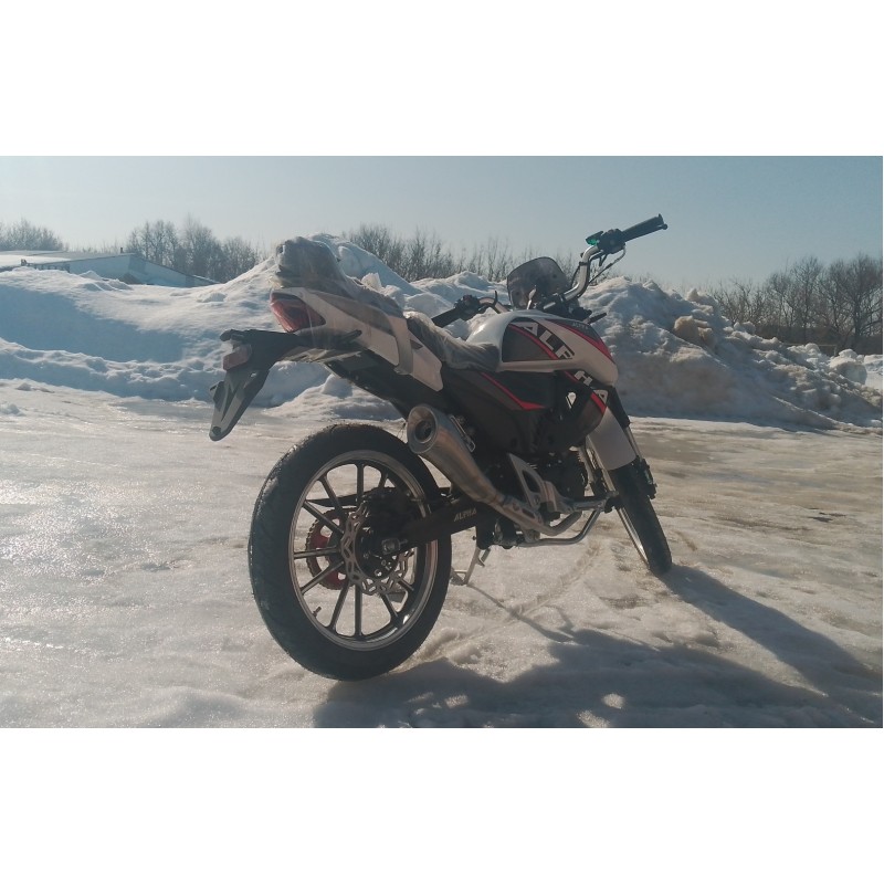 Купить  Мопед Millenium Alpha Champ  4Т; 50cc; колеса 17"литые; 4пер, эл. старт; БЕЗ КИКА!  (шт) 01500 (ТехМаркет купить с доставкой по Москве и России, цена, технические характеристики, комплектация фото  - motoserp.ru