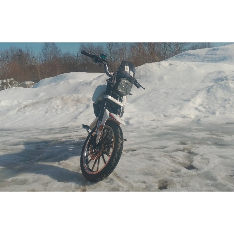 Купить  Мопед Millenium Alpha Champ  4Т; 50cc; колеса 17"литые; 4пер, эл. старт; БЕЗ КИКА!  (шт) 01500 (ТехМаркет купить с доставкой по Москве и России, цена, технические характеристики, комплектация фото  - motoserp.ru