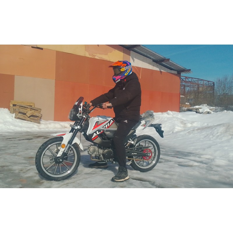 Купить  Мопед Millenium Alpha Champ  4Т; 50cc; колеса 17"литые; 4пер, эл. старт; БЕЗ КИКА!  (шт) 01500 (ТехМаркет купить с доставкой по Москве и России, цена, технические характеристики, комплектация фото  - motoserp.ru