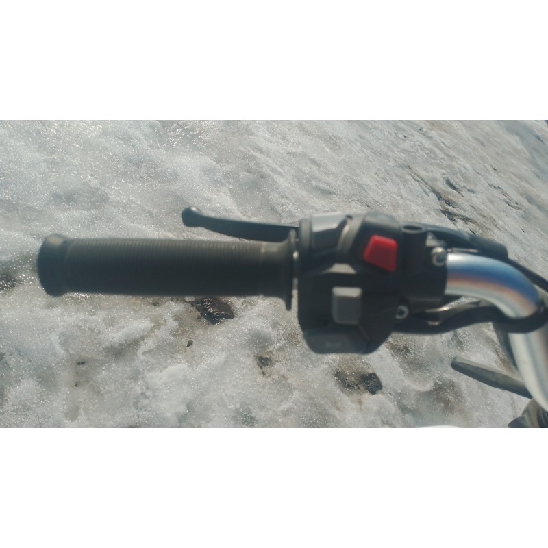 Купить  Мопед Millenium Alpha Champ  4Т; 50cc; колеса 17"литые; 4пер, эл. старт; БЕЗ КИКА!  (шт) 01500 (ТехМаркет купить с доставкой по Москве и России, цена, технические характеристики, комплектация фото  - motoserp.ru