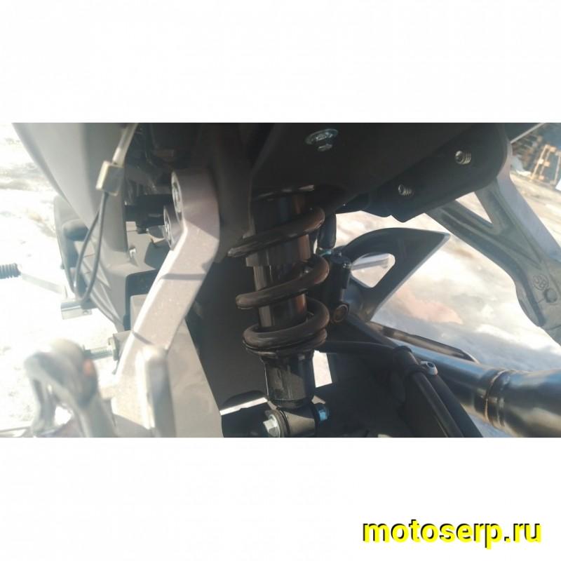 Купить  Мопед Millenium Alpha Champ  4Т; 50cc; колеса 17"литые; 4пер, эл. старт; БЕЗ КИКА!  (шт) 01500 (ТехМаркет купить с доставкой по Москве и России, цена, технические характеристики, комплектация фото  - motoserp.ru