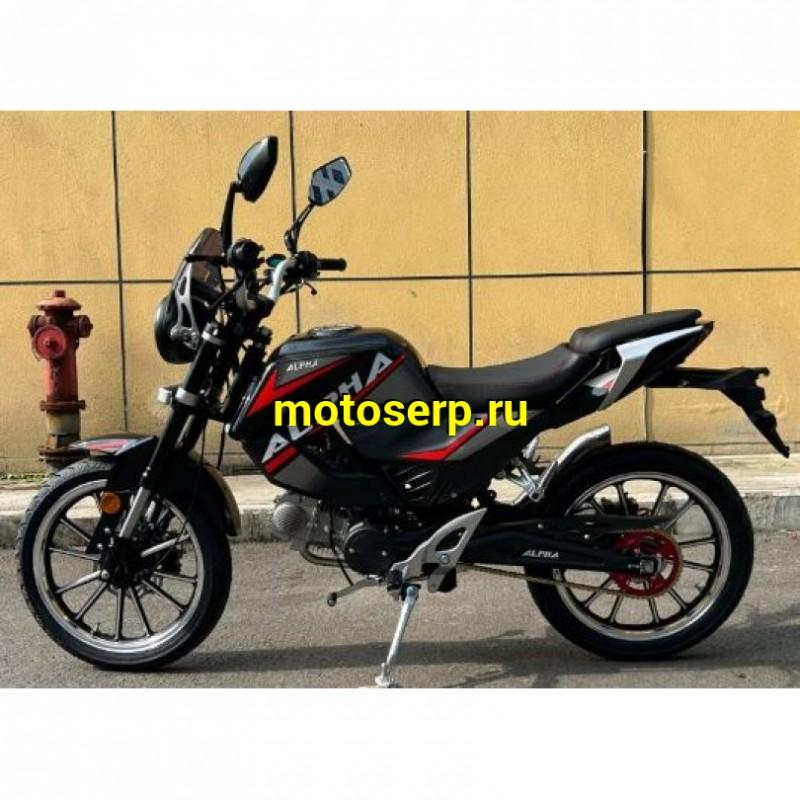 Купить  Мопед Millenium Alpha Champ  4Т; 50cc; колеса 17"литые; 4пер, эл. старт; БЕЗ КИКА!  (шт) 01500 (ТехМаркет (ФОТО купить с доставкой по Москве и России, цена, технические характеристики, комплектация фото  - motoserp.ru