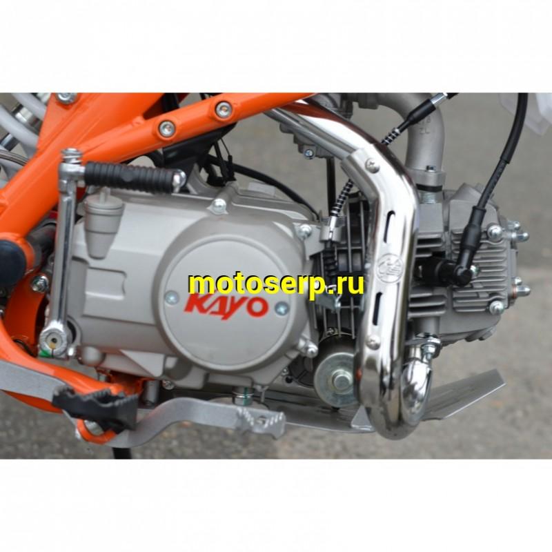 Купить  Питбайк KAYO BASIC K125EM 17/14 KRZ (механ. сцепл., эл. стартер 2024 г.) (шт) (SM (ФОТО купить с доставкой по Москве и России, цена, технические характеристики, комплектация фото  - motoserp.ru