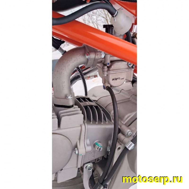 Купить  Питбайк KAYO Basic K125EM 17/14 KRZ (механ. сцепл., эл. стартер) (шт) (SM  купить с доставкой по Москве и России, цена, технические характеристики, комплектация фото  - motoserp.ru