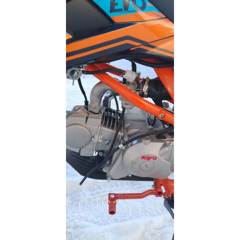 Купить  Питбайк KAYO Evolution K125EM 17/14 KRZ (механ. сцепл., эл. стартер) (шт) (SM  купить с доставкой по Москве и России, цена, технические характеристики, комплектация фото  - motoserp.ru