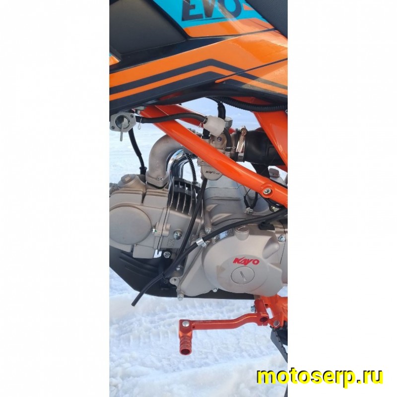 Купить  Питбайк KAYO Evolution K125EM 17/14 KRZ (механ. сцепл., эл. стартер) (шт) (SM  купить с доставкой по Москве и России, цена, технические характеристики, комплектация фото  - motoserp.ru